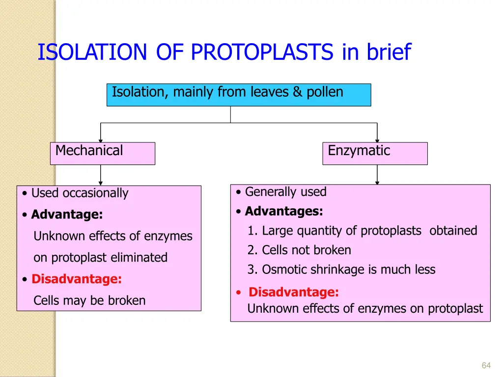 isolation of protoplasts in brief