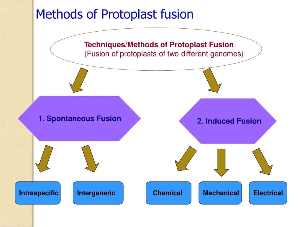 methods of protoplast fusion