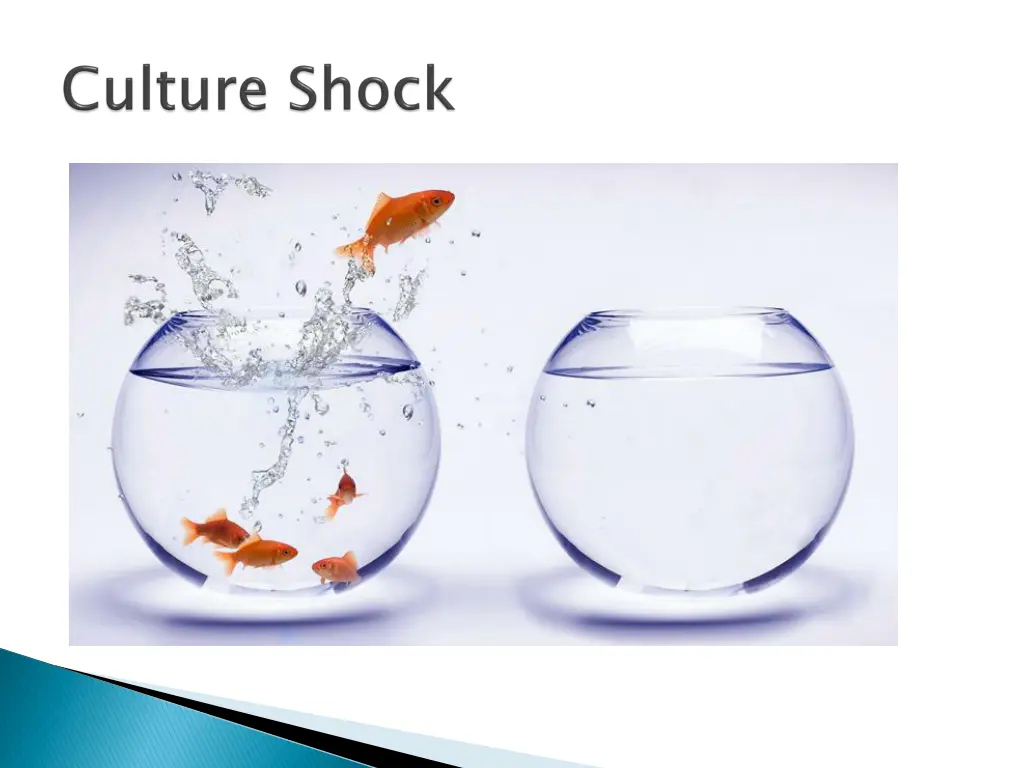 slide17