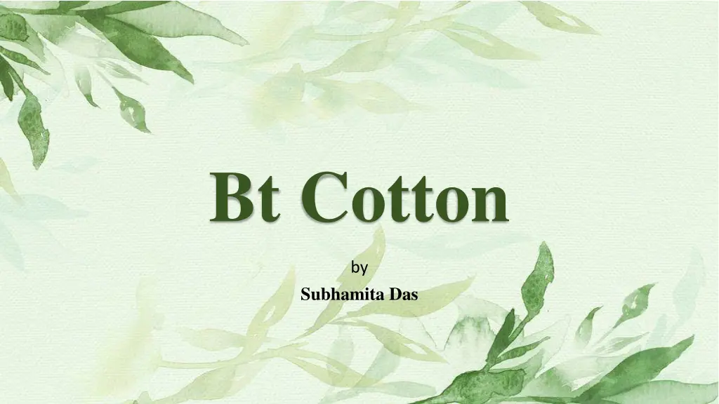 bt cotton