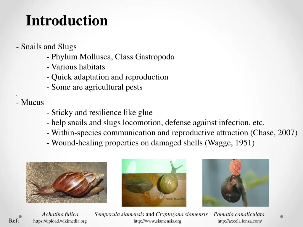 introduction