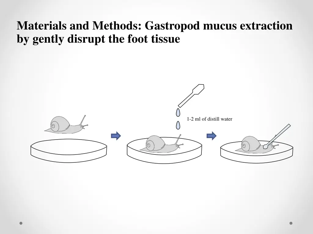 materials and methods gastropod mucus extraction