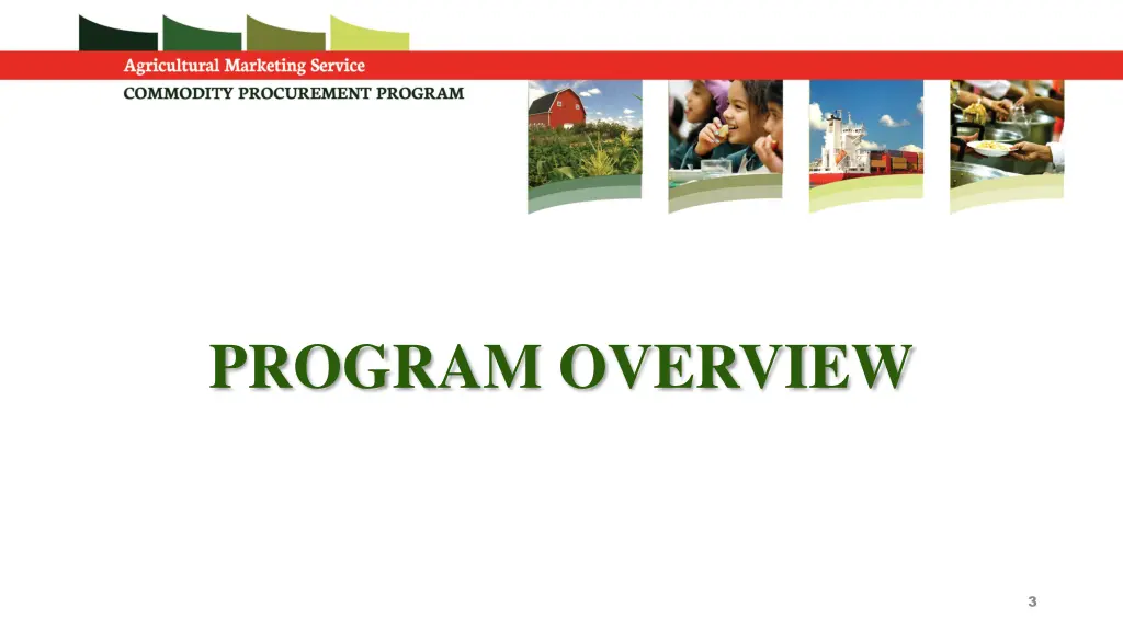 program overview