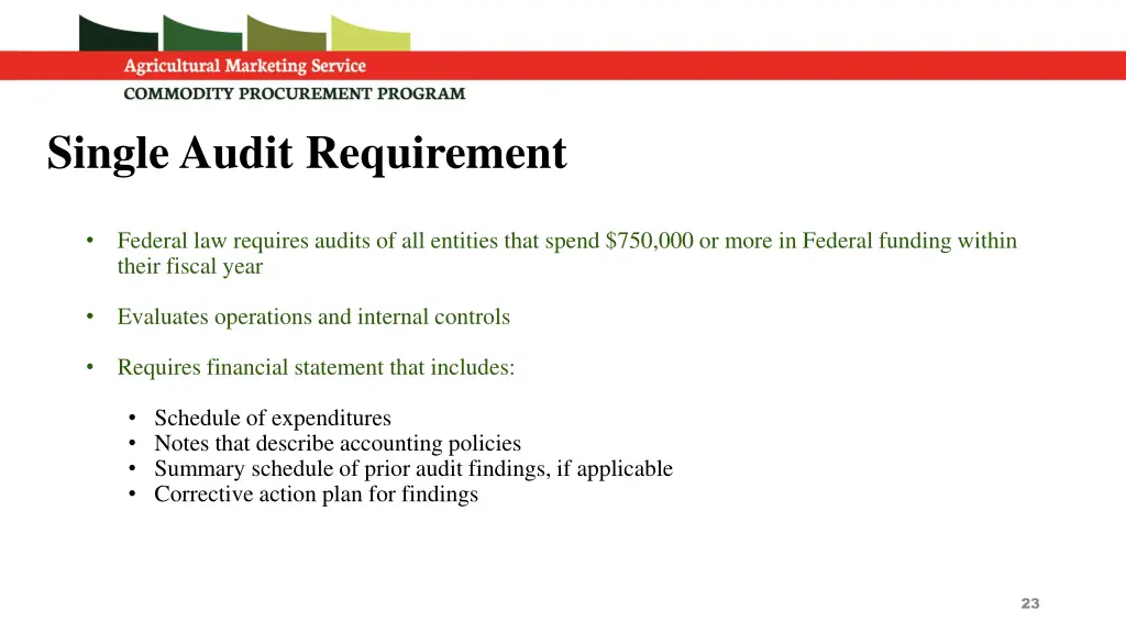single audit requirement