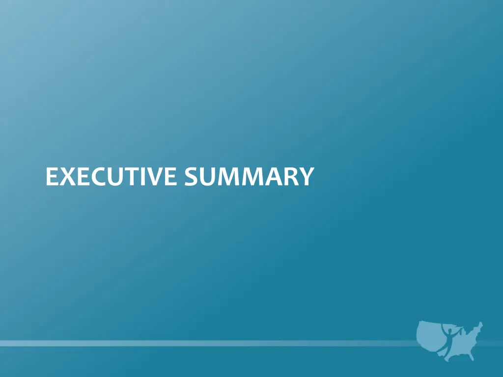 executive summary