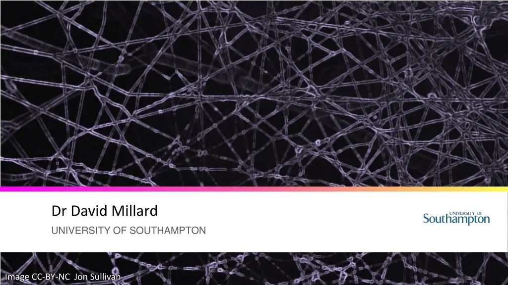 dr david millard university of southampton