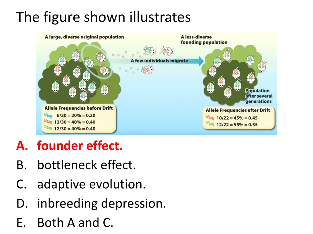 the figure shown illustrates