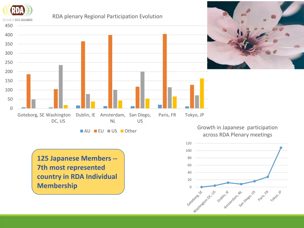 rda plenary regional participation evolution