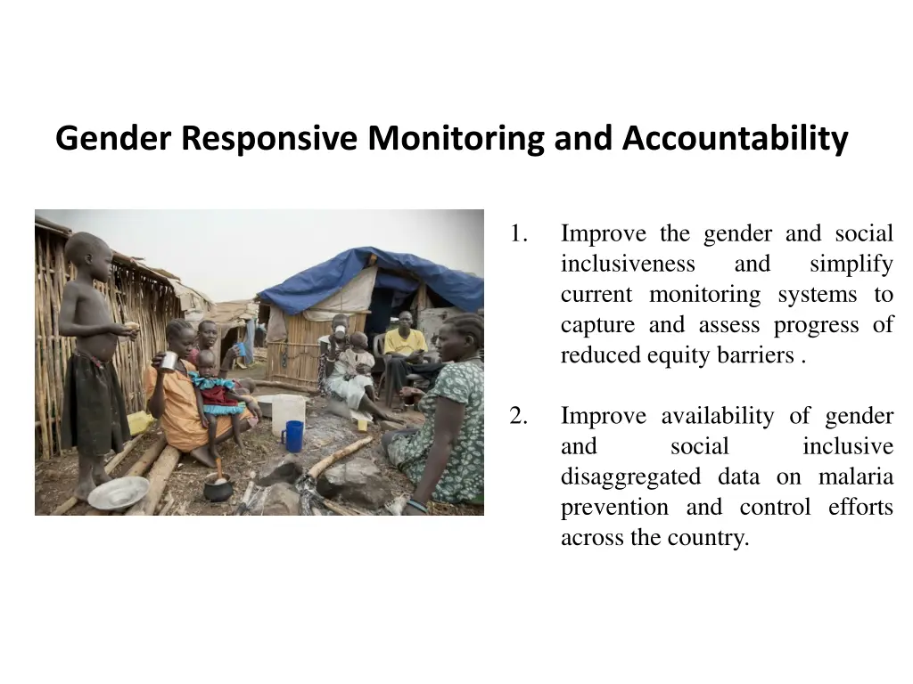 gender responsive monitoring and accountability