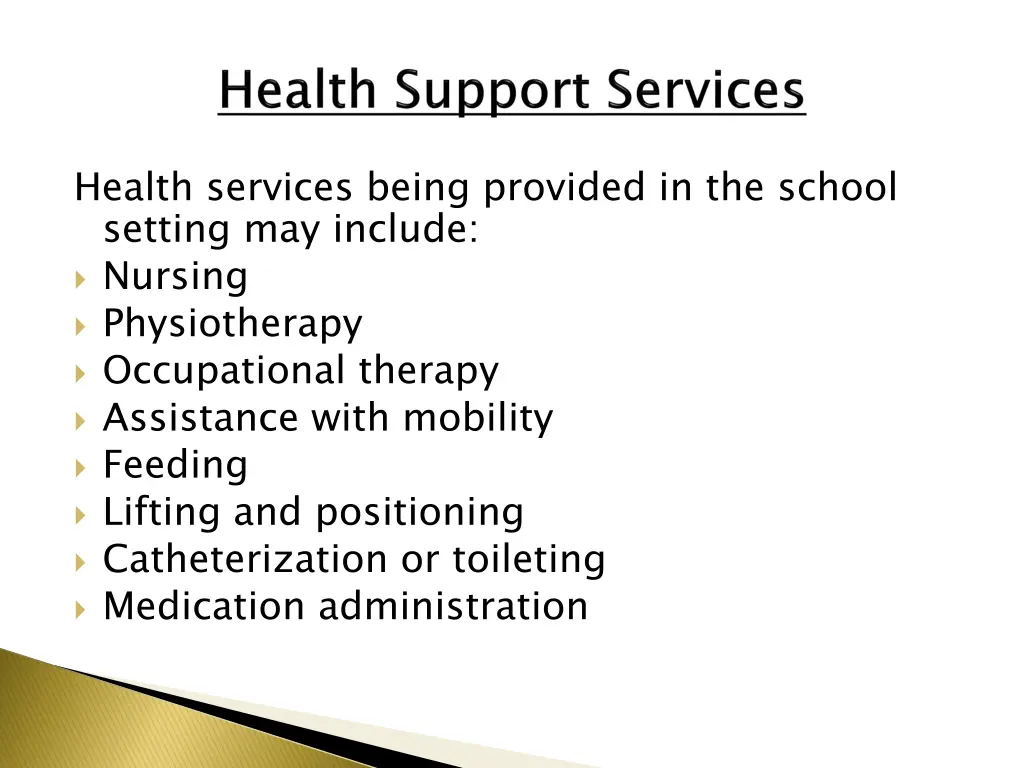 health services being provided in the school