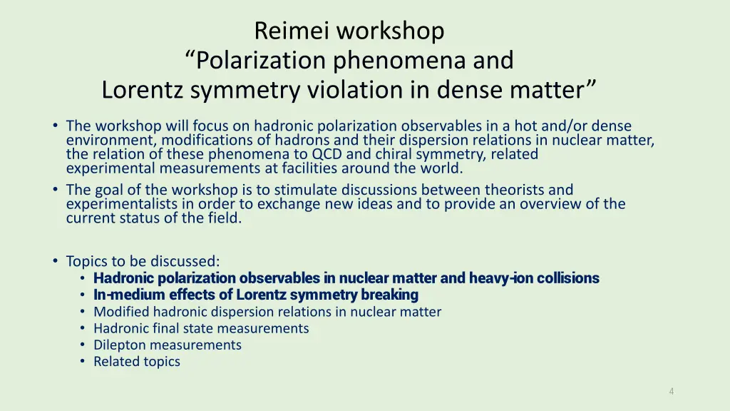 reimei workshop polarization phenomena