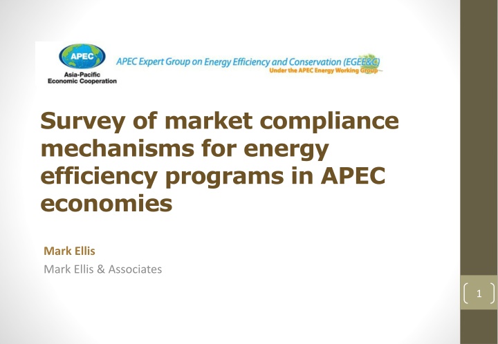 survey of market compliance mechanisms for energy
