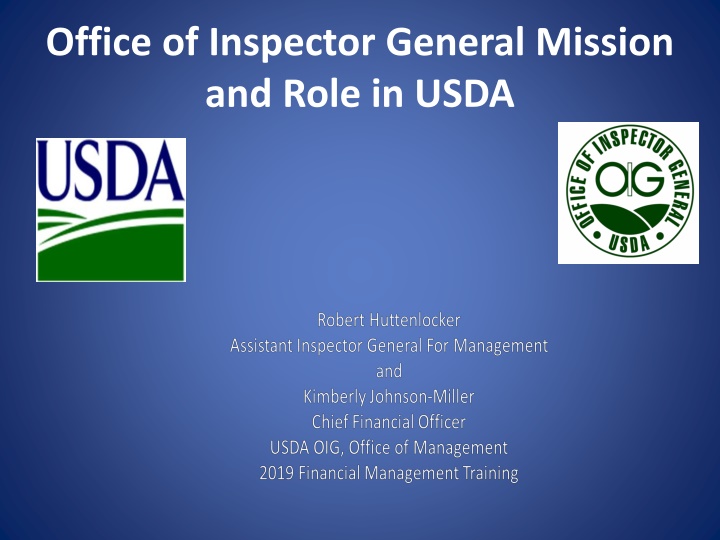 office of inspector general mission and role