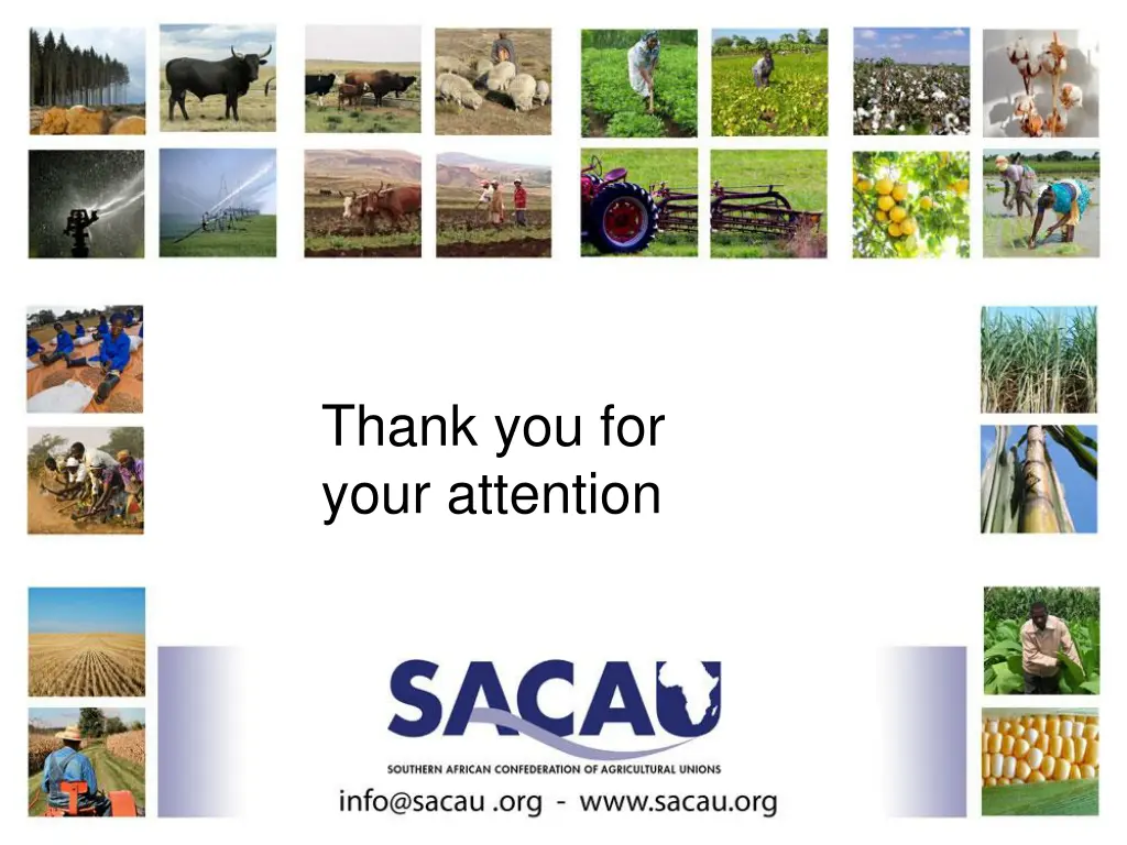 thank you for your attention
