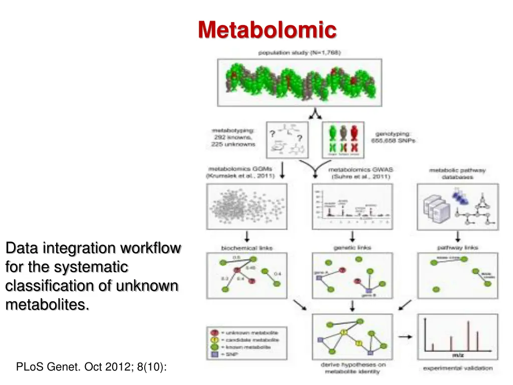 metabolomic