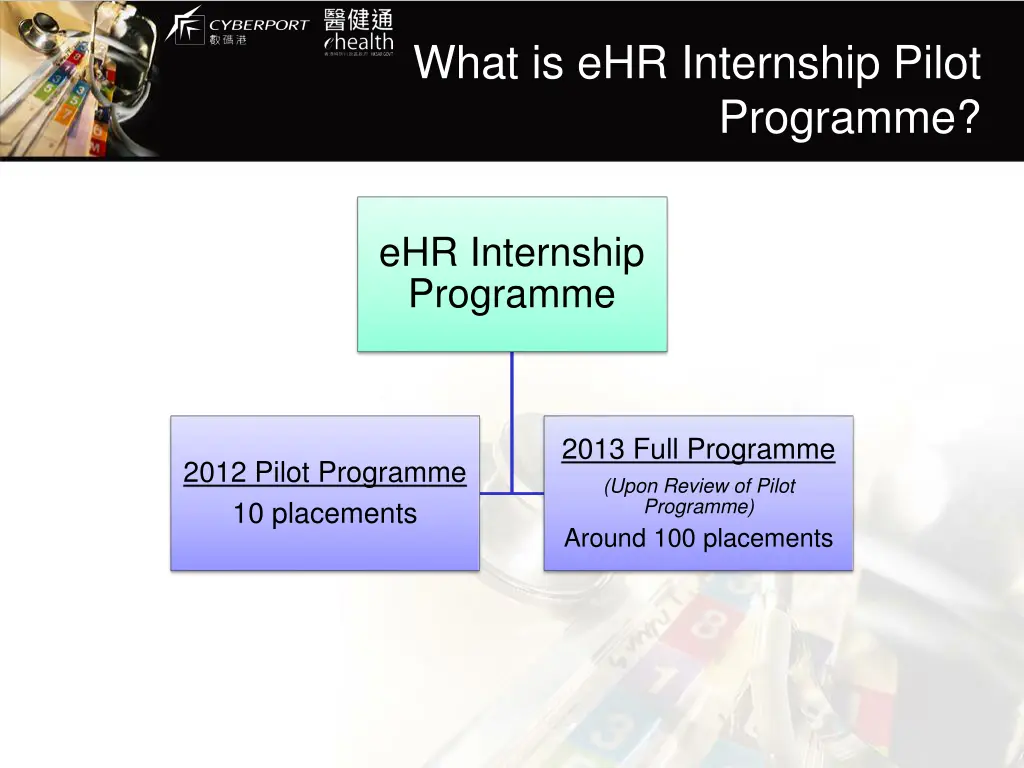what is ehr internship pilot 1