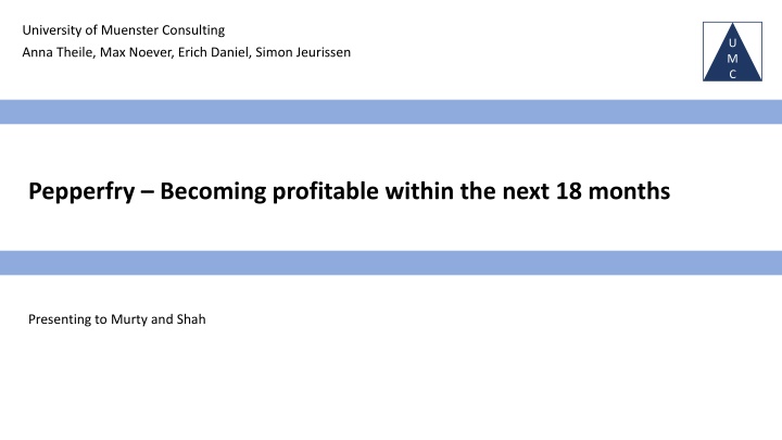 university of muenster consulting