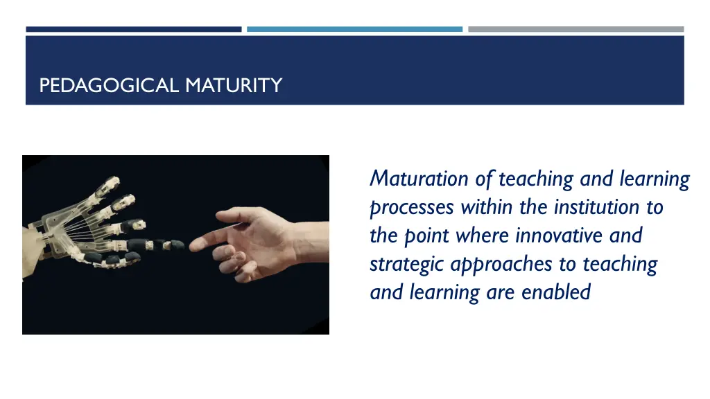 pedagogical maturity