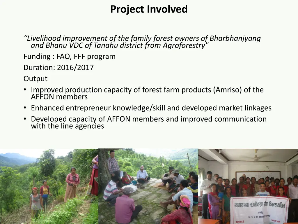 project involved 2