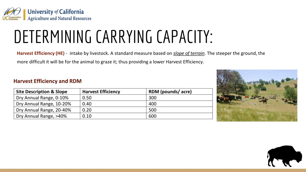 determining carrying capacity 1