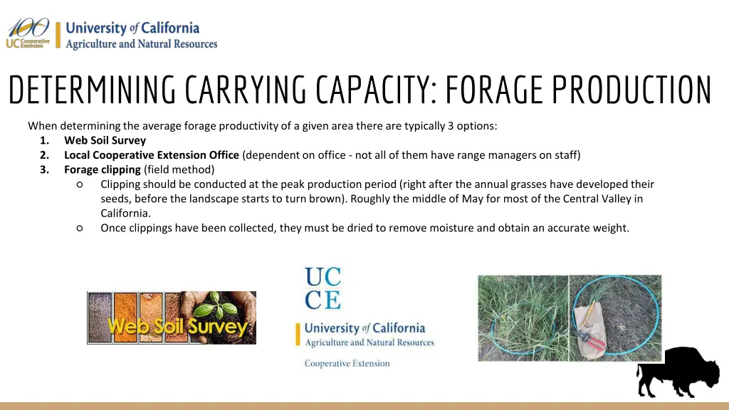 determining carrying capacity forage production