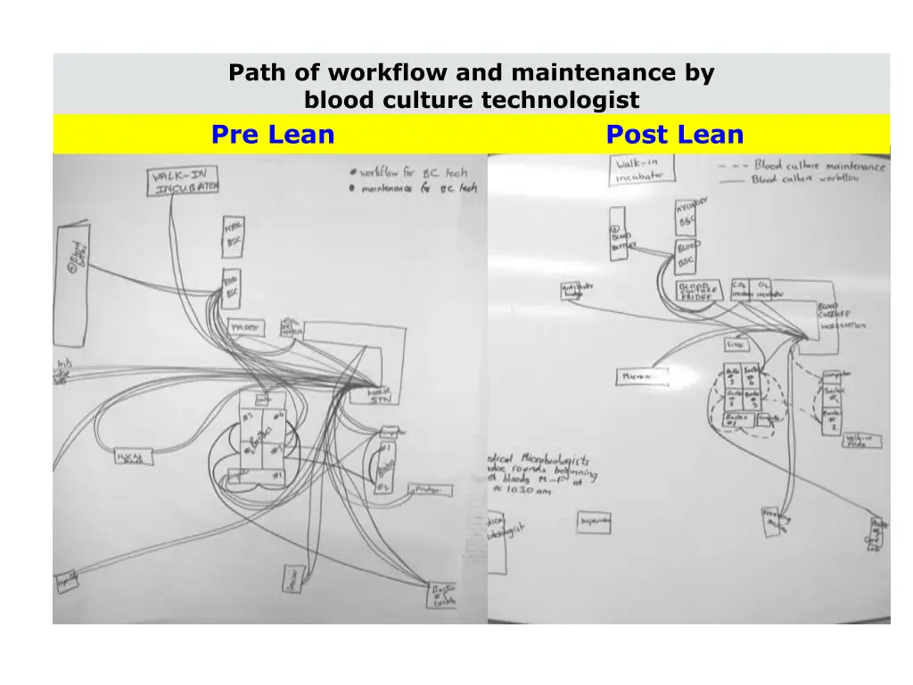 path of workflow and maintenance by blood culture