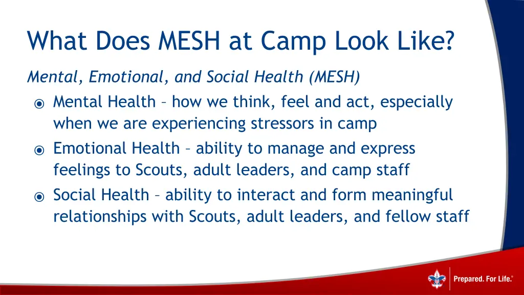 what does mesh at camp look like