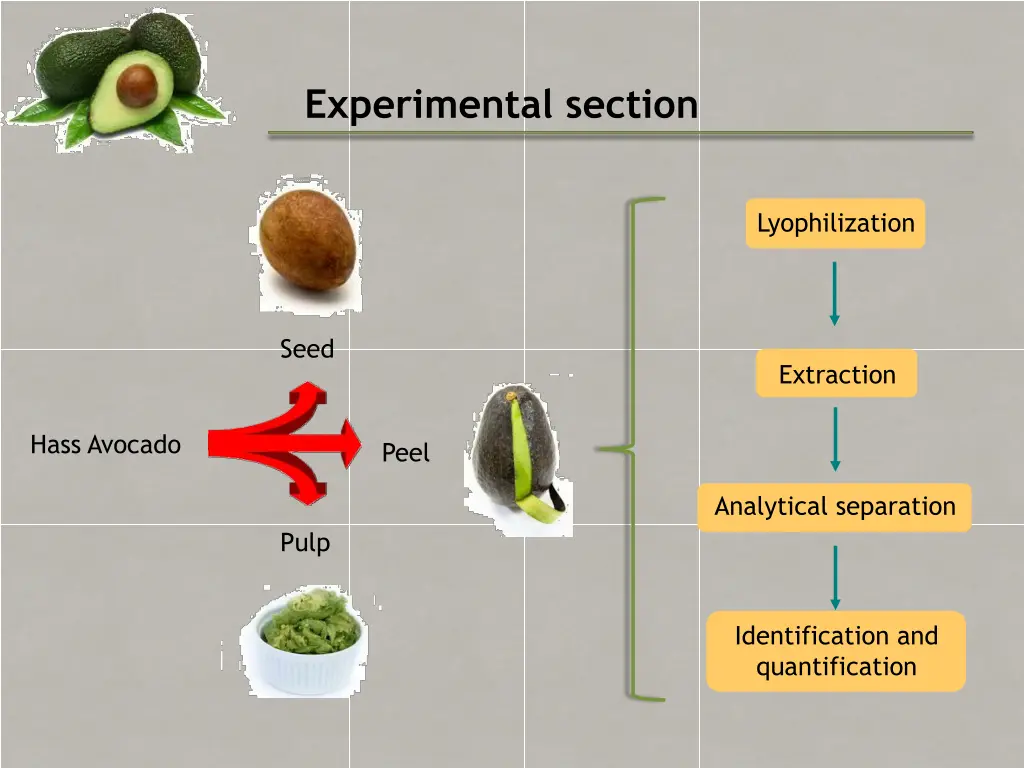 experimental section