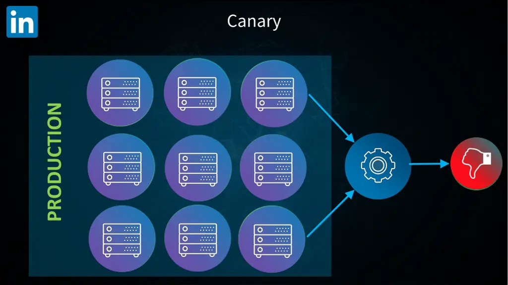 canary