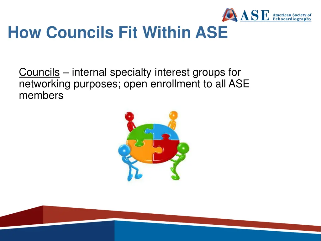 how councils fit within ase