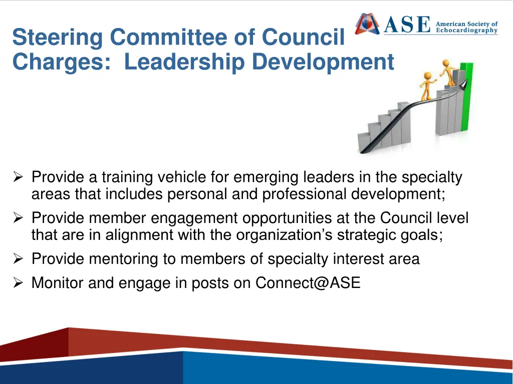 steering committee of council charges leadership