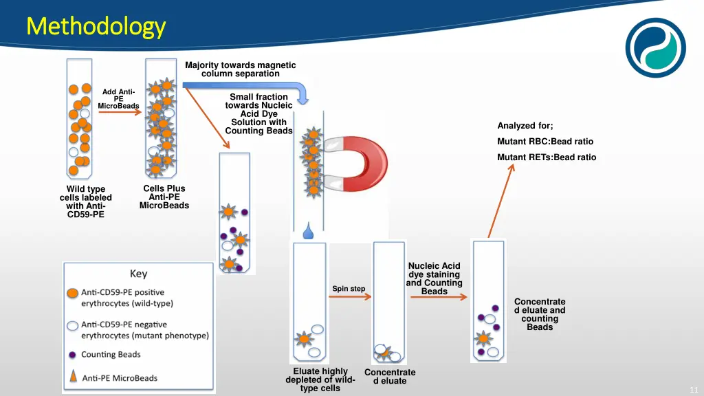 methodology methodology