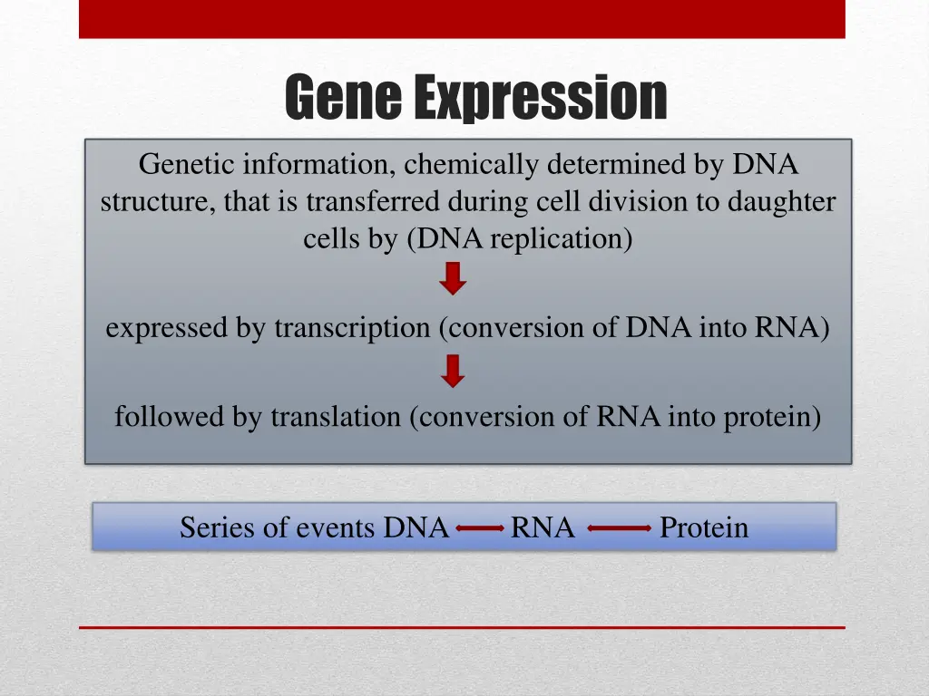 gene expression genetic information chemically
