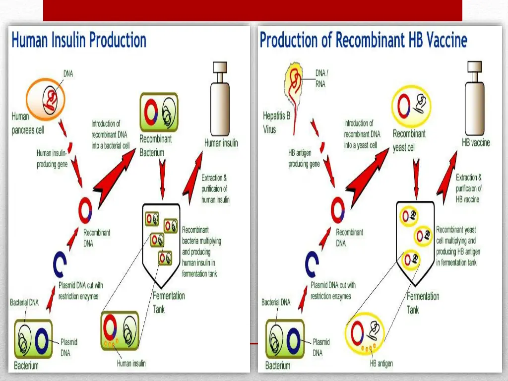 slide17