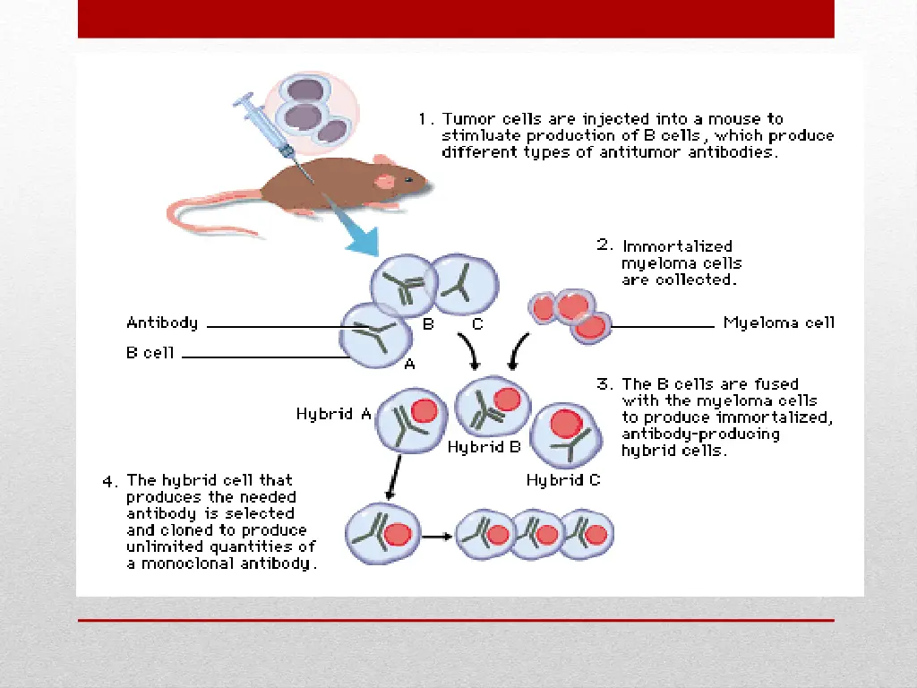 slide21
