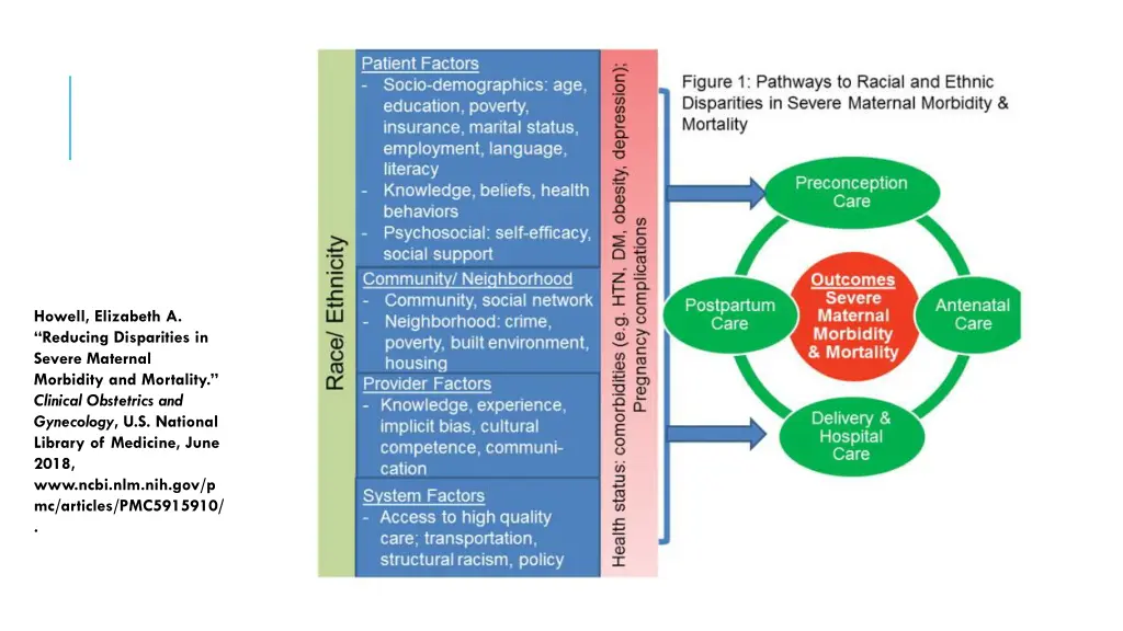howell elizabeth a reducing disparities in severe
