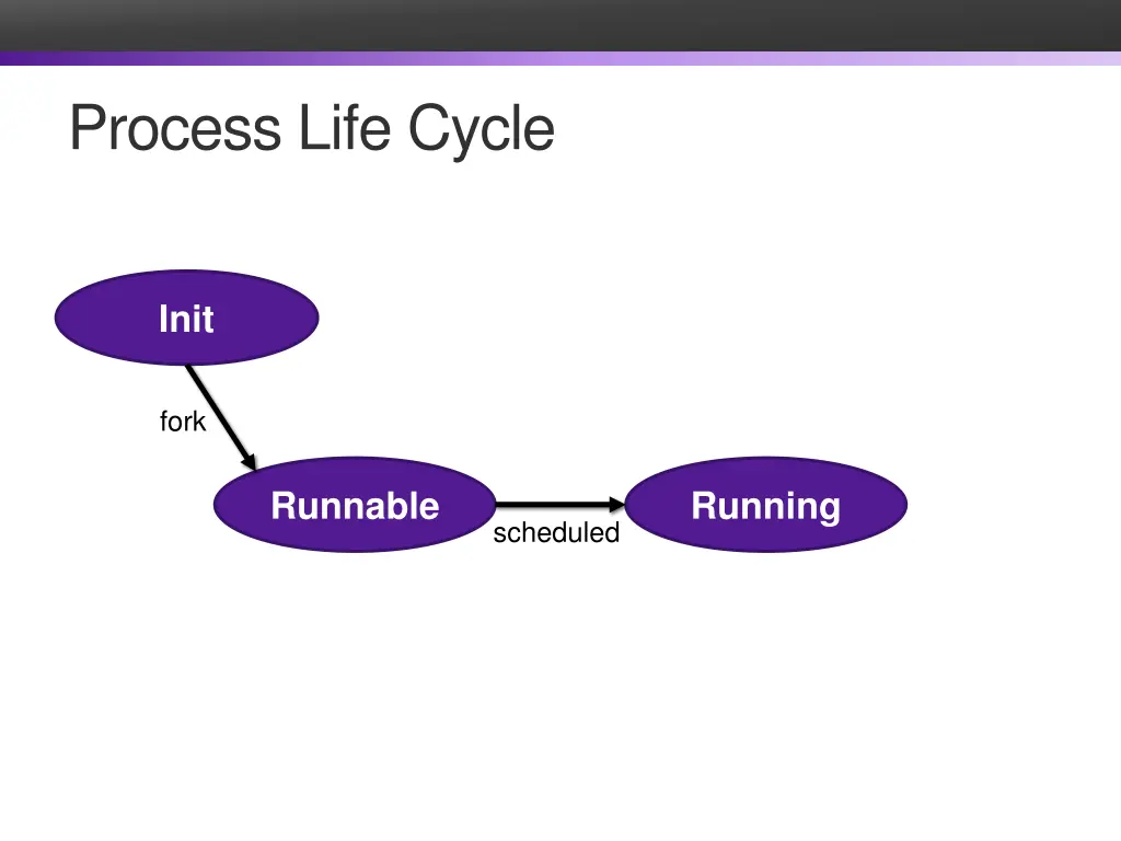 process life cycle