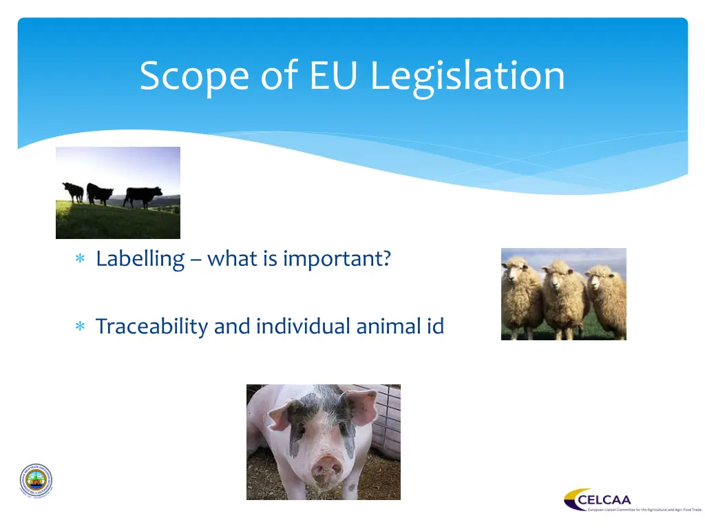scope of eu legislation