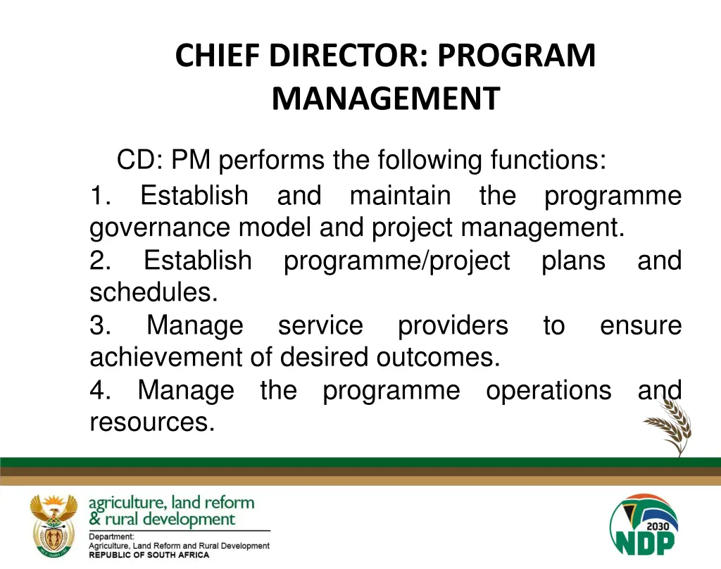 chief director program management
