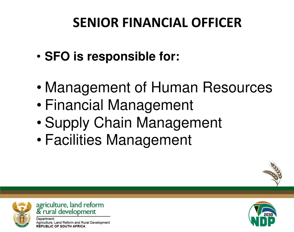 senior financial officer