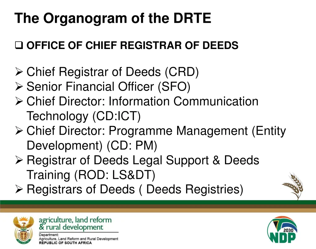 the organogram of the drte