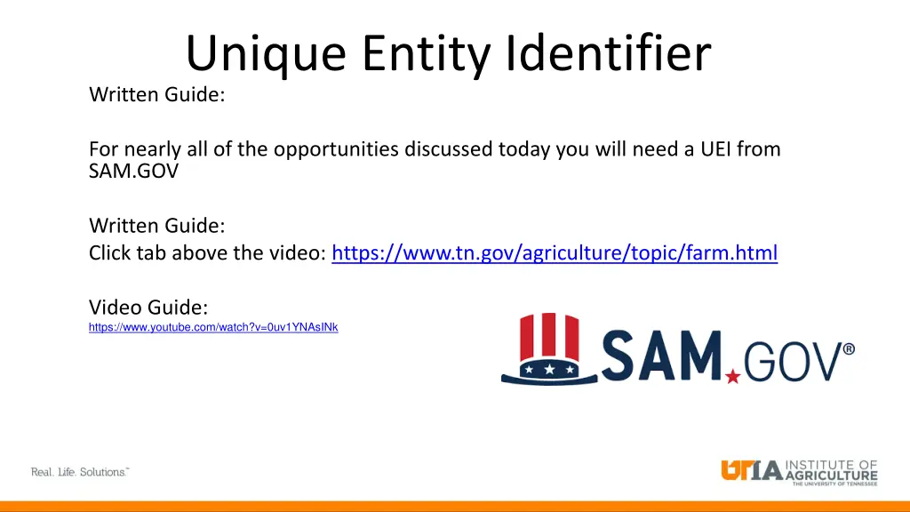 unique entity identifier written guide