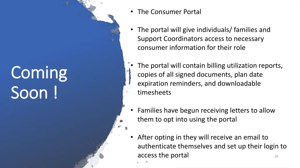 the consumer portal