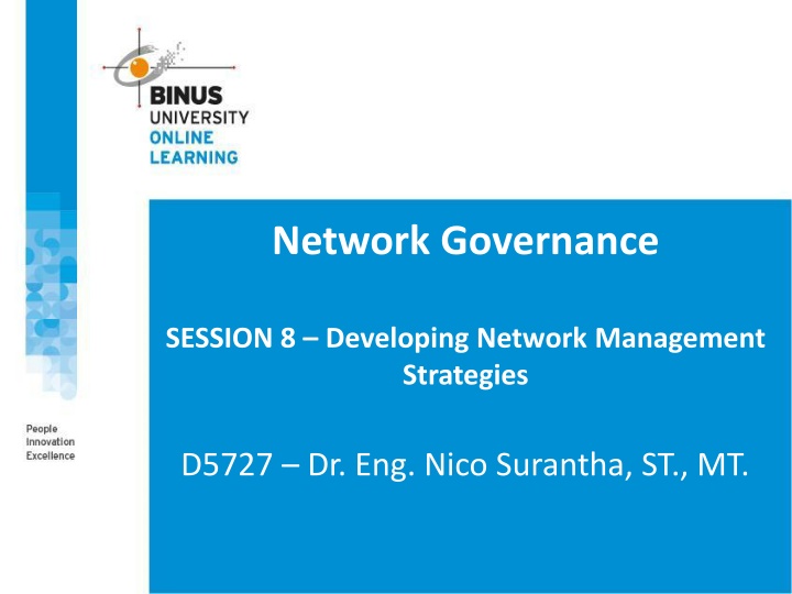 network governance