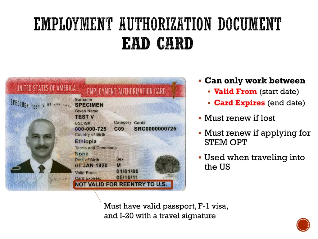 employment authorization document ead card