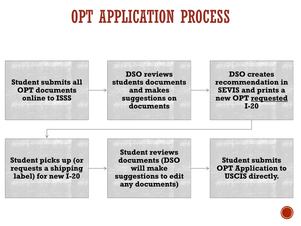 opt application process