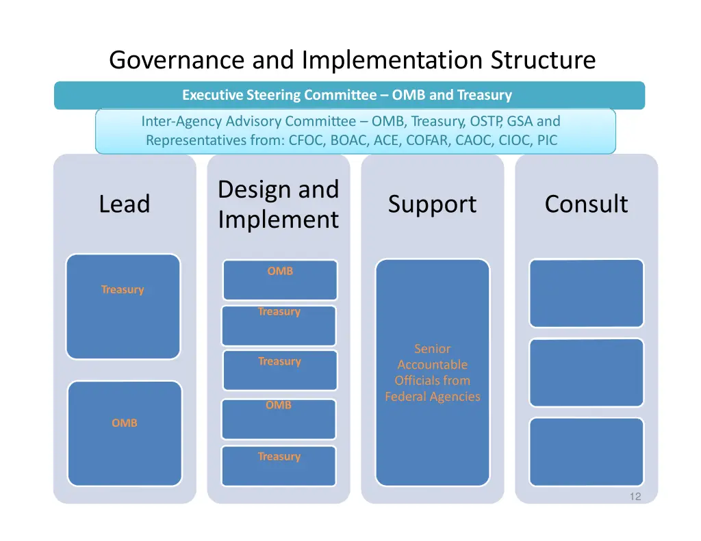 governance and implementation structure