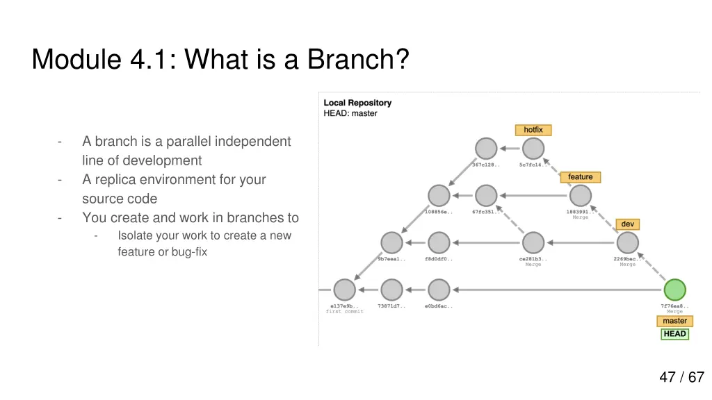 module 4 1 what is a branch 1