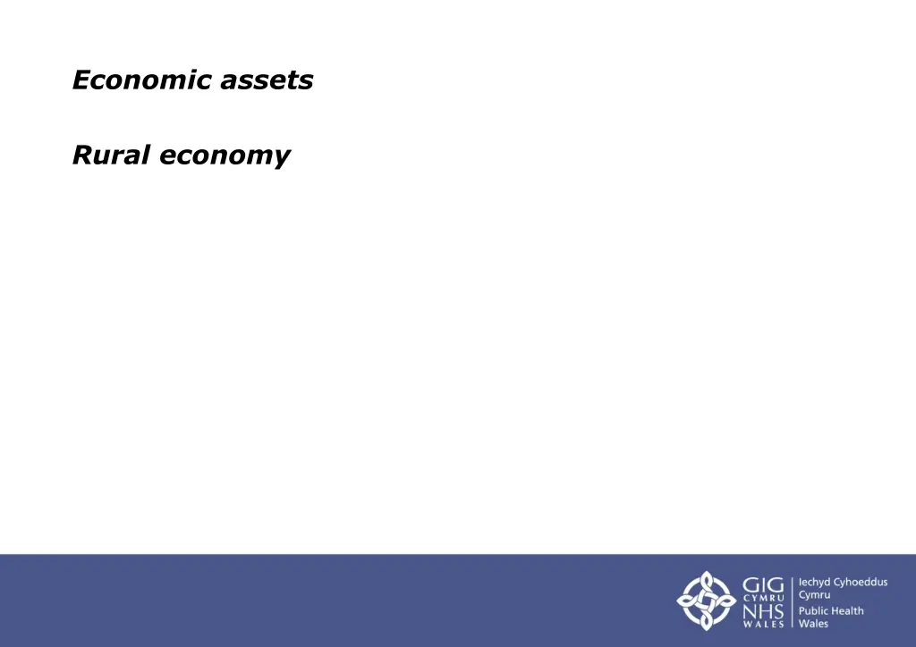 economic assets