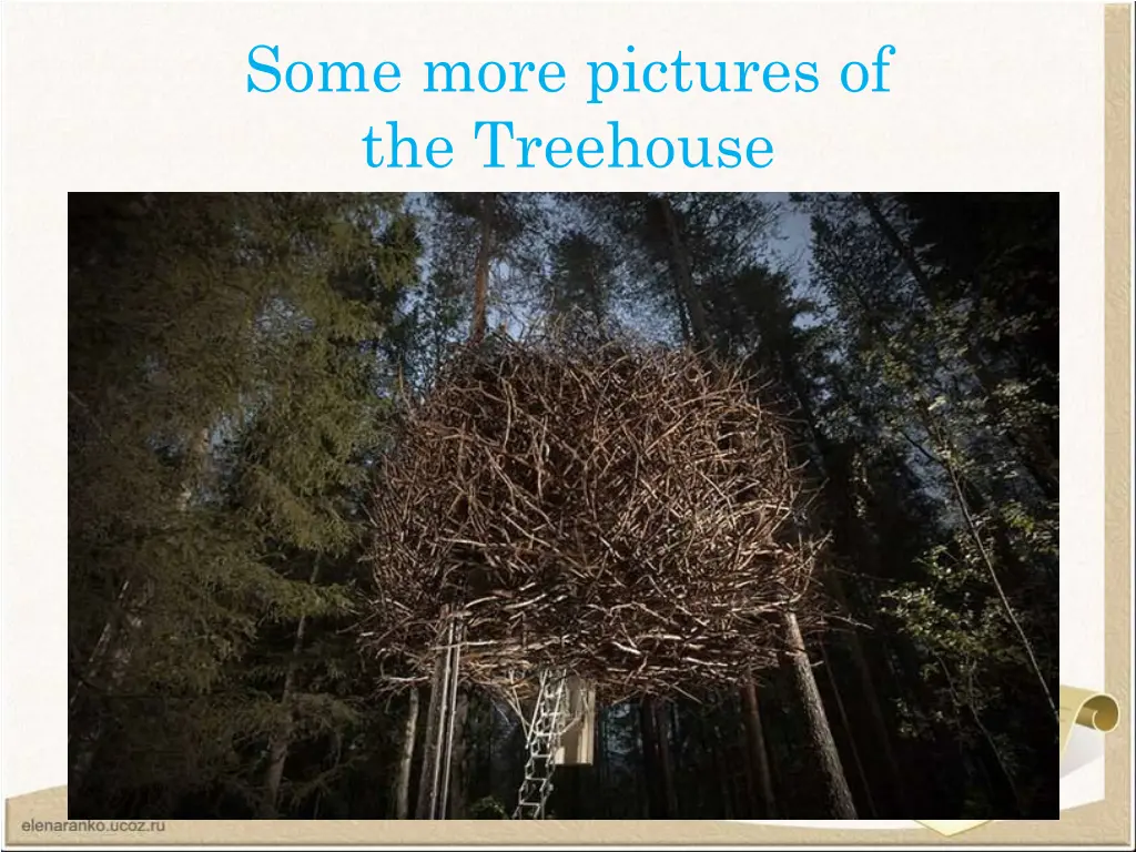 some more pictures of the treehouse